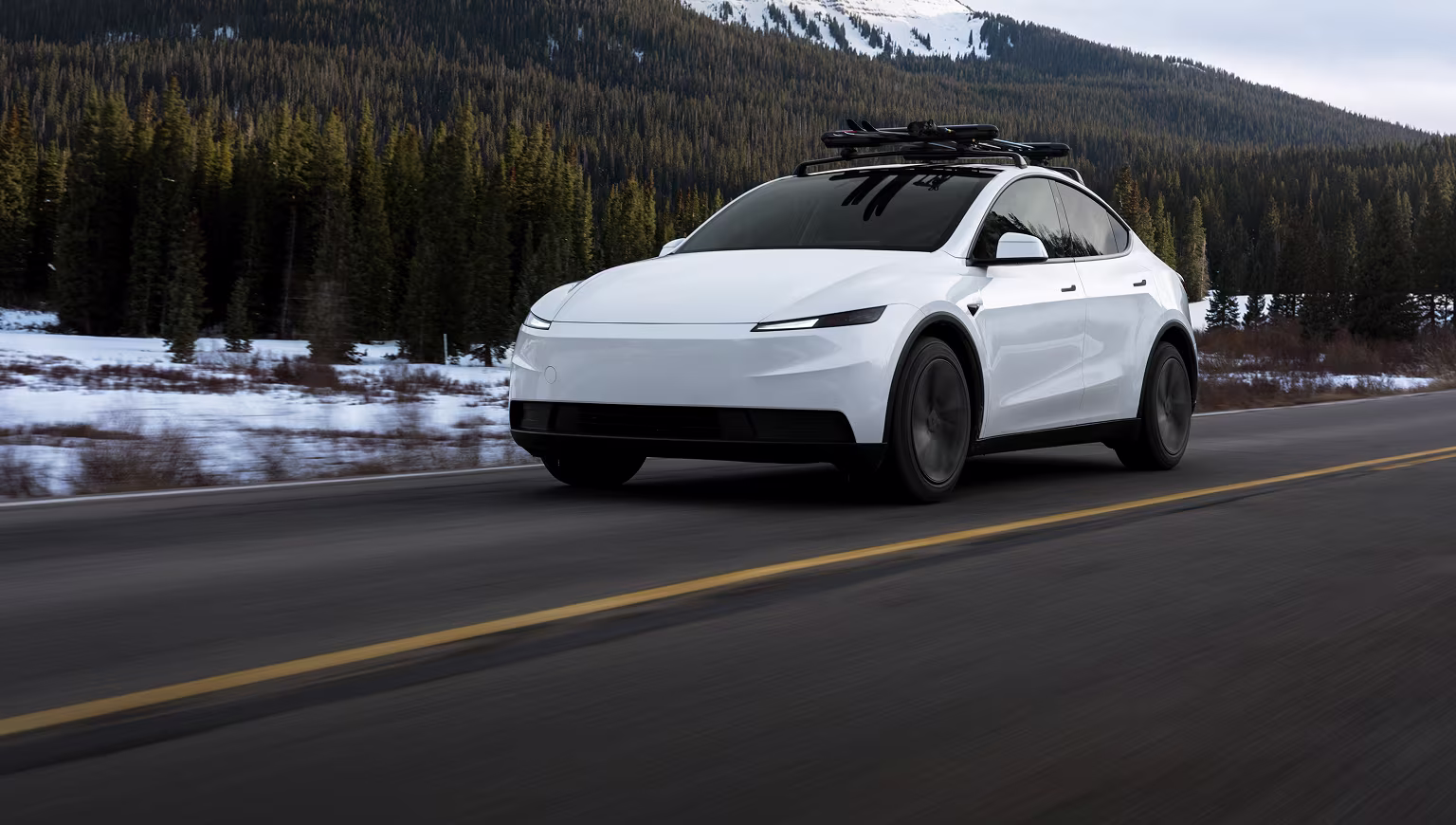 Model Y