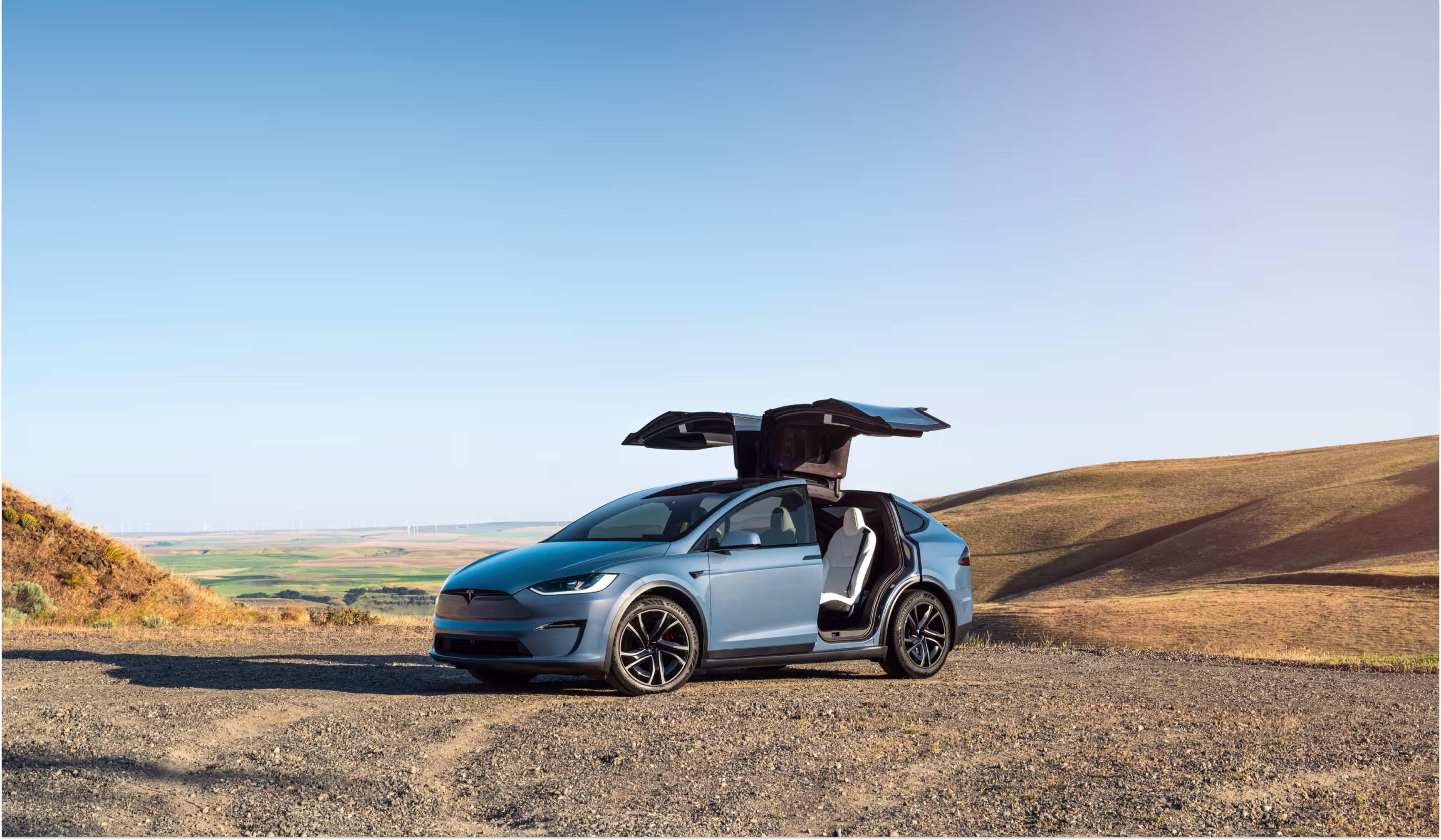 Model X